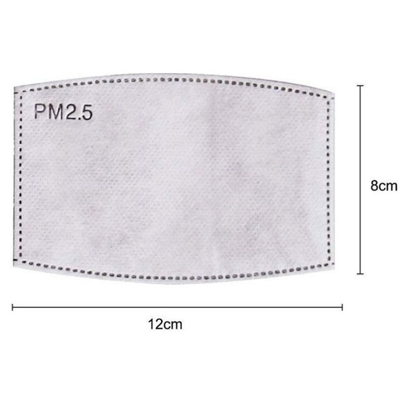 2PCS Mask Filter Element PM2.5 - مراجعة Pm2.5 Filter Insert وسعره